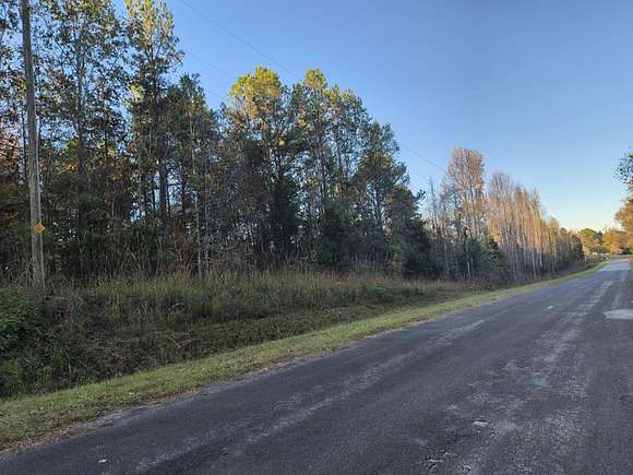 10 Acres of Land for Sale in Union, South Carolina