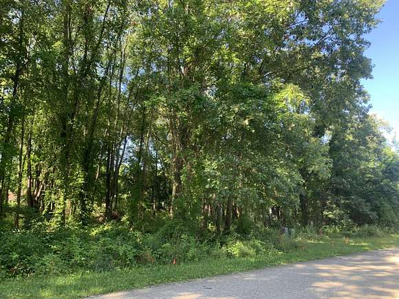 0.35 Acres of Residential Land for Sale in Gobles, Michigan