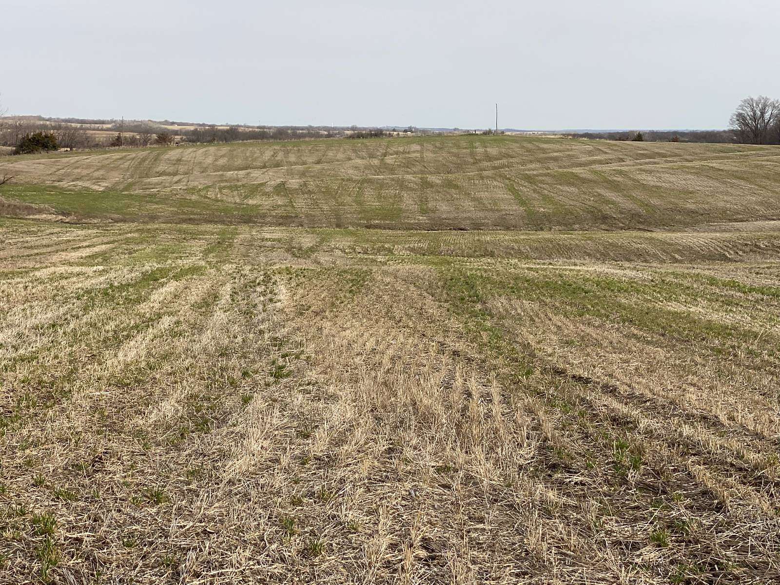 77 Acres of Agricultural Land for Sale in Ford City, Missouri