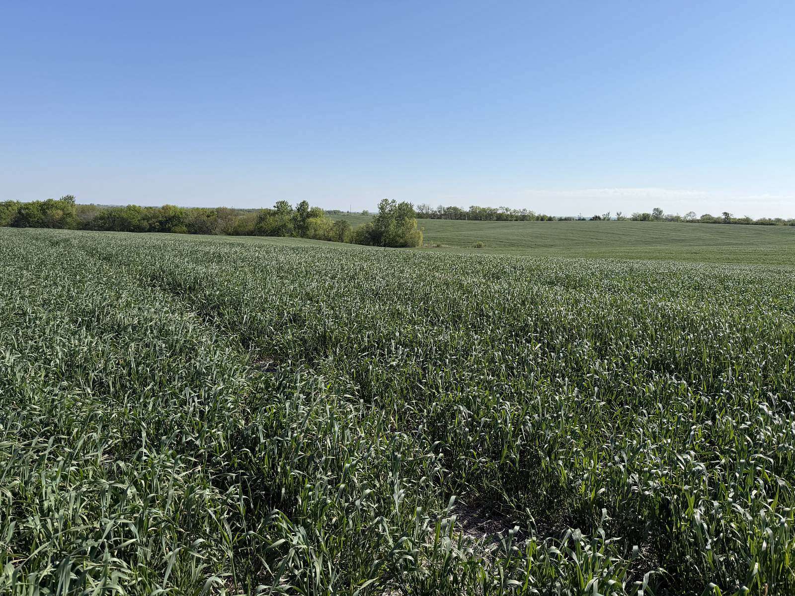 77 Acres of Agricultural Land for Sale in Ford City, Missouri