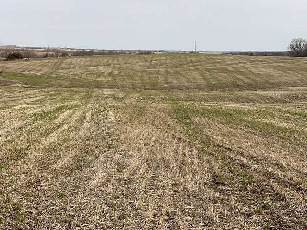 77 Acres of Agricultural Land for Sale in Ford City, Missouri