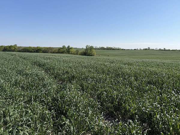 77 Acres of Agricultural Land for Sale in Ford City, Missouri