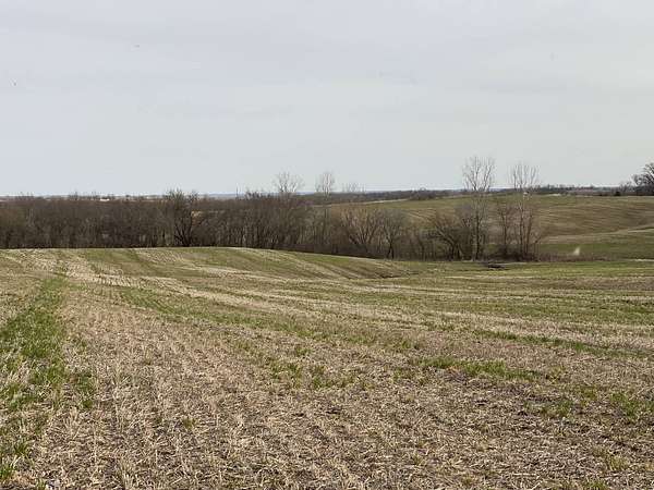 40 Acres of Land for Sale in Ford City, Missouri