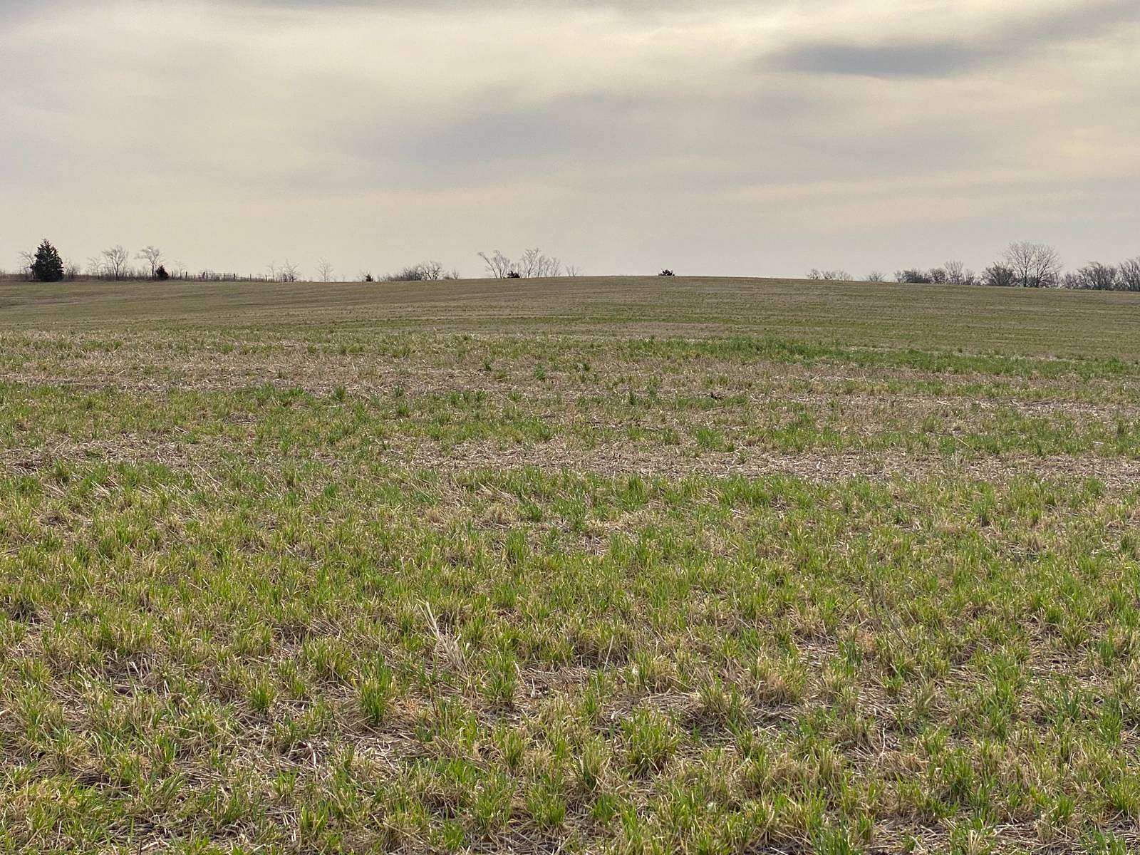 37 Acres of Agricultural Land for Sale in Ford City, Missouri