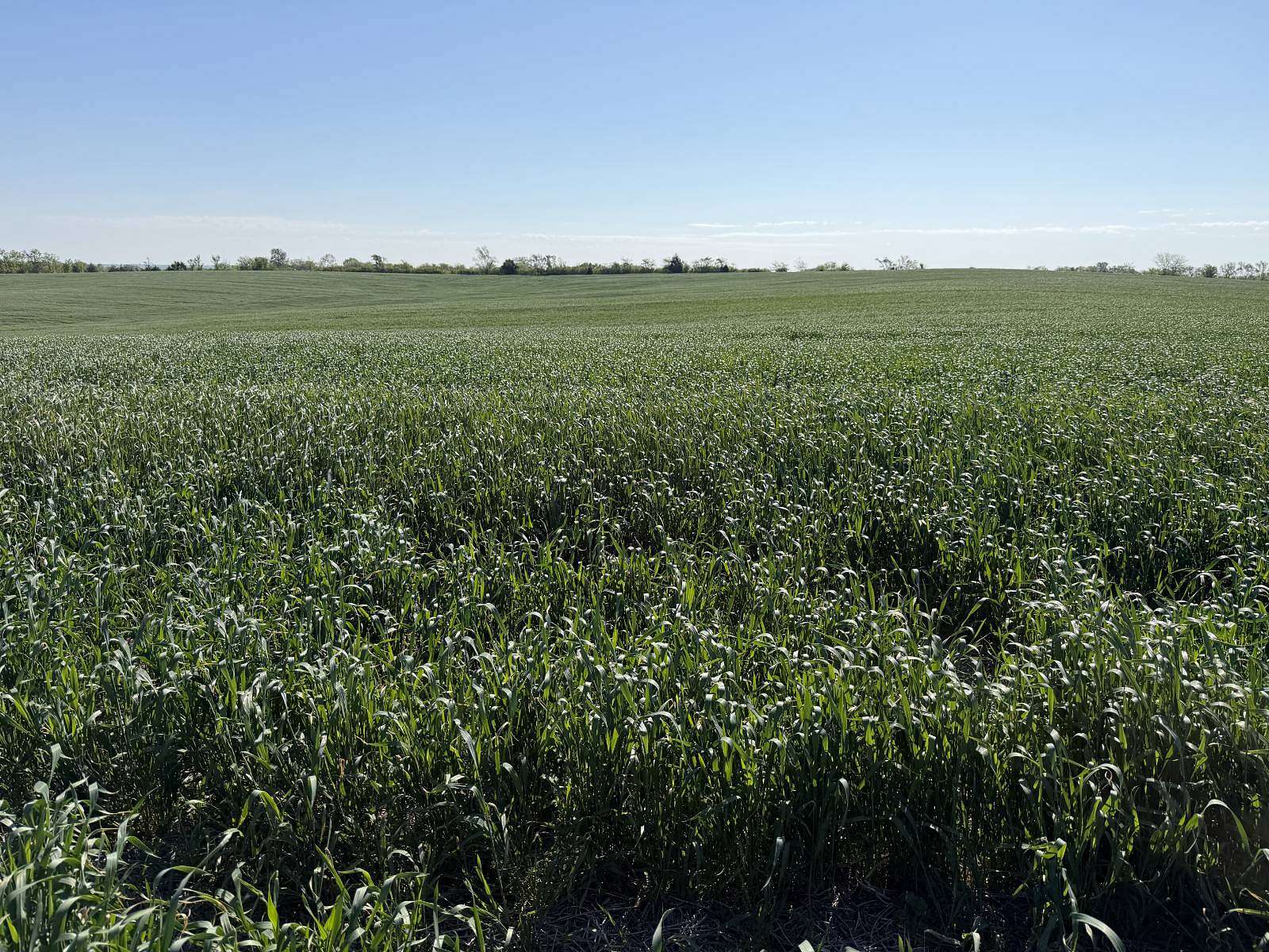 37 Acres of Agricultural Land for Sale in Ford City, Missouri
