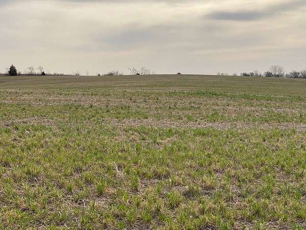 37 Acres of Agricultural Land for Sale in Ford City, Missouri