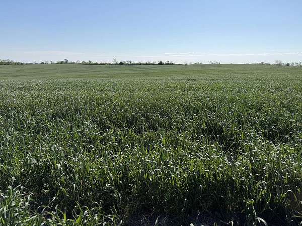 37 Acres of Agricultural Land for Sale in Ford City, Missouri