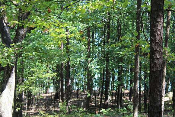 0.89 Acres of Residential Land for Sale in Quitman, Arkansas