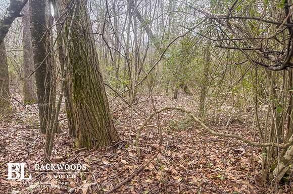 1.42 Acres of Land for Sale in Benton, Mississippi