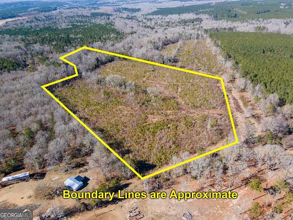 23.98 Acres of Recreational Land for Sale in Cochran, Georgia