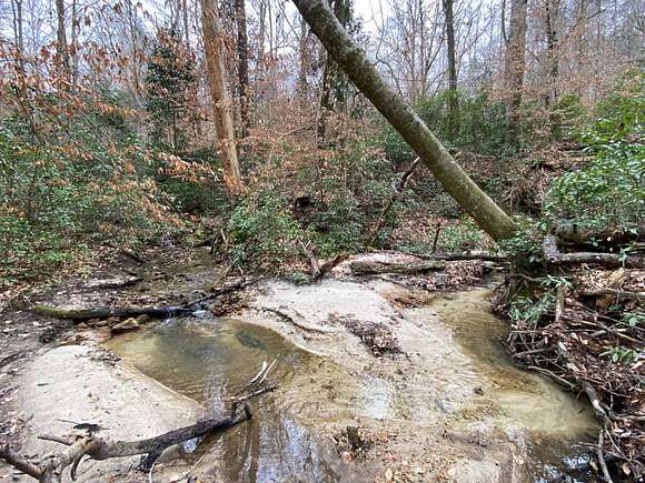 105 Acres of Recreational Land for Sale in Tunnel Springs, Alabama