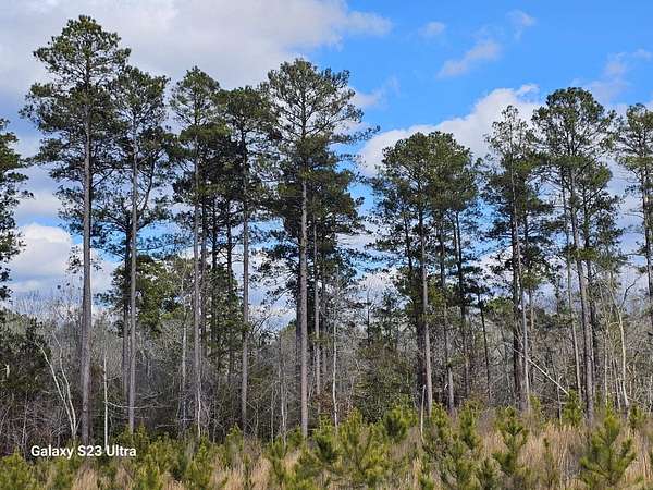 20.6 Acres of Recreational Land for Sale in El Dorado, Arkansas