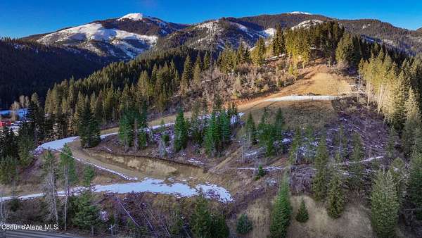 16.9 Acres of Recreational Land for Sale in St. Maries, Idaho