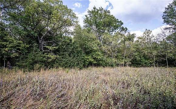 160 Acres of Recreational Land for Sale in Mound City, Kansas