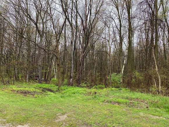 30 Acres of Recreational Land for Sale in Smiths Creek, Michigan