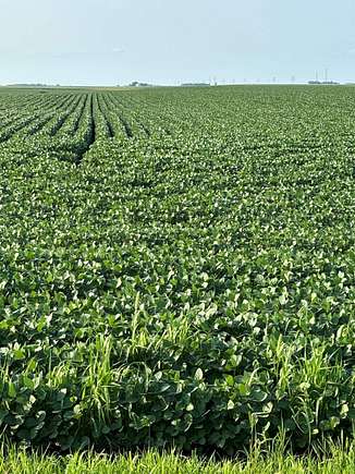 159.37 Acres of Agricultural Land for Sale in Laurens, Iowa