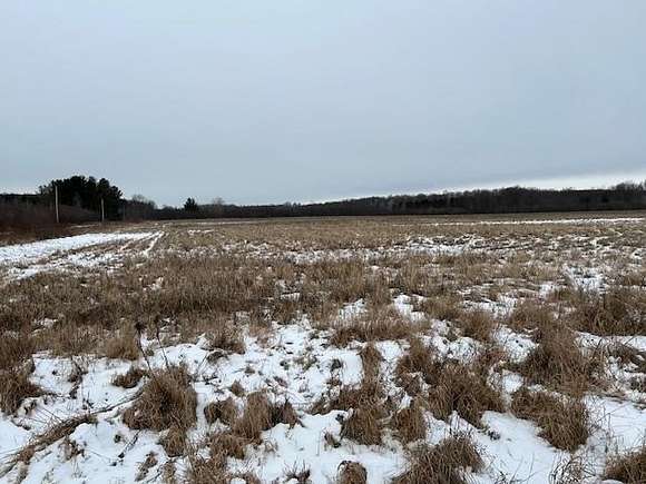 41.5 Acres of Agricultural Land for Sale in Hatley, Wisconsin