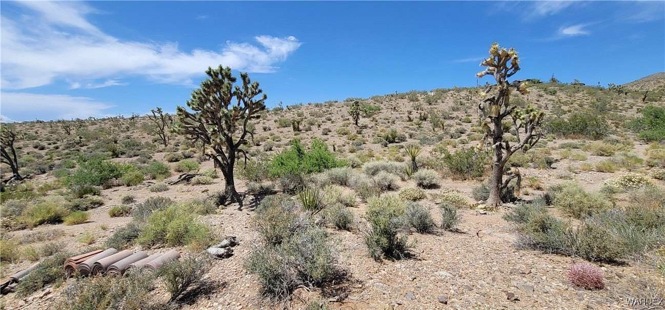 1 Acre of Residential Land for Sale in White Hills, Arizona