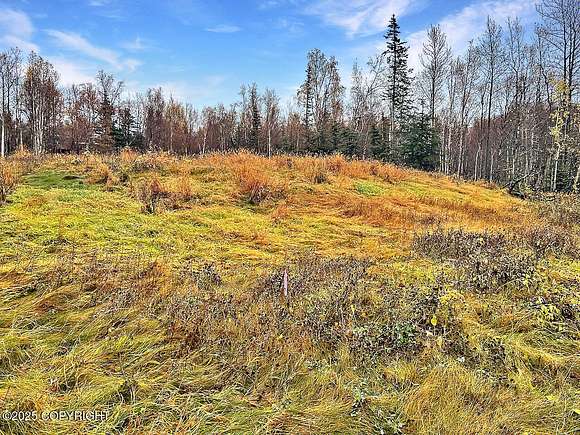 2 Acres of Land for Sale in Palmer, Alaska