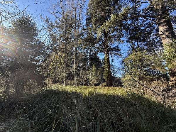 0.39 Acres of Land for Sale in Ocean Park, Washington