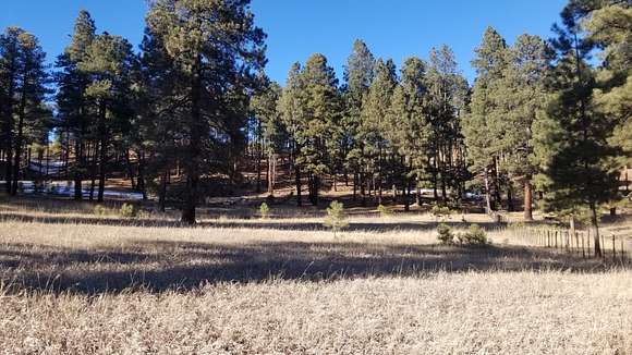 35 Acres of Recreational Land for Sale in Bayfield, Colorado