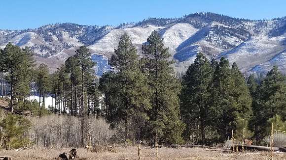 276.18 Acres of Recreational Land for Sale in Bayfield, Colorado