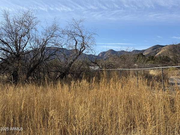 1 Acre of Residential Land for Sale in Hereford, Arizona