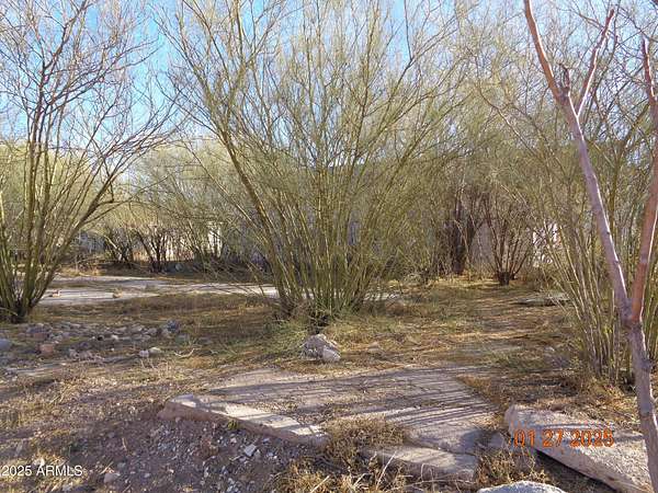 0.16 Acres of Residential Land for Sale in Douglas, Arizona