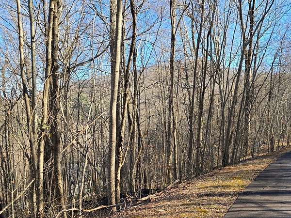 1 Acre of Residential Land for Sale in Young Harris, Georgia