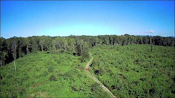 90.85 Acres of Recreational Land & Farm for Sale in Danville, Arkansas