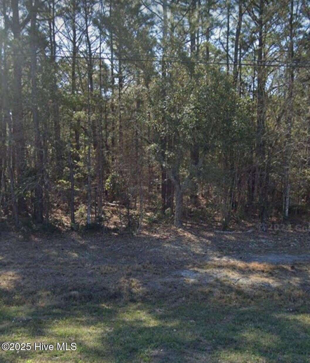 3 Acres of Commercial Land for Auction in Hampstead, North Carolina