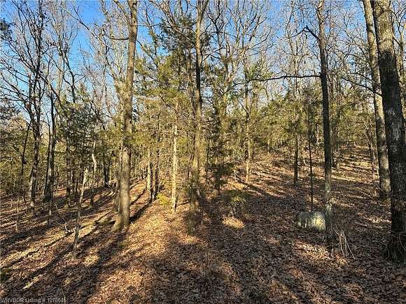 34.09 Acres of Recreational Land for Sale in Heavener, Oklahoma