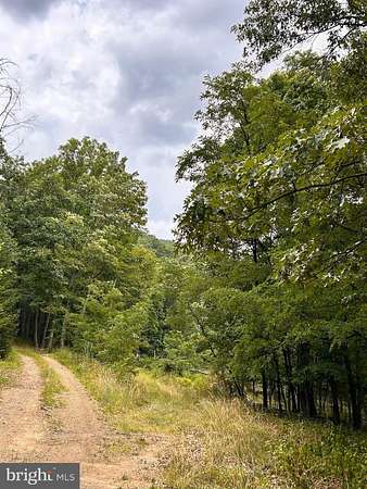 25.9 Acres of Land for Sale in Baker, West Virginia