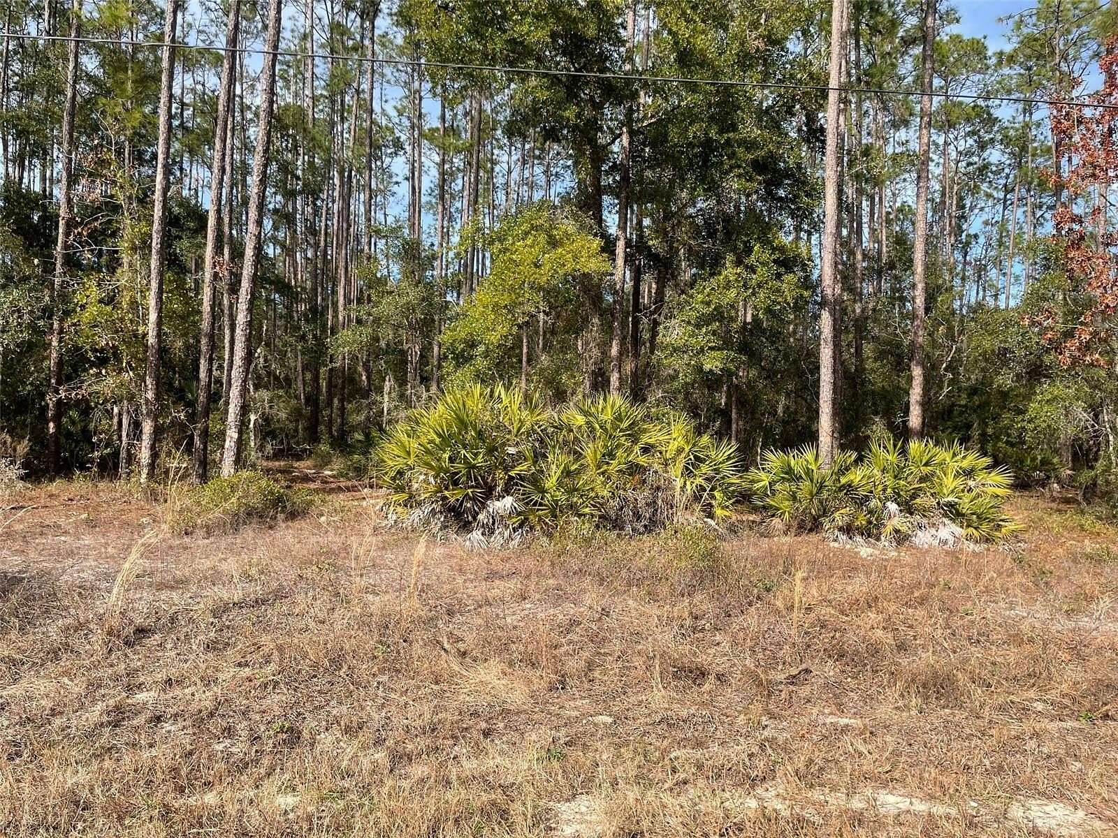 0.24 Acres of Residential Land for Sale in Dunnellon, Florida