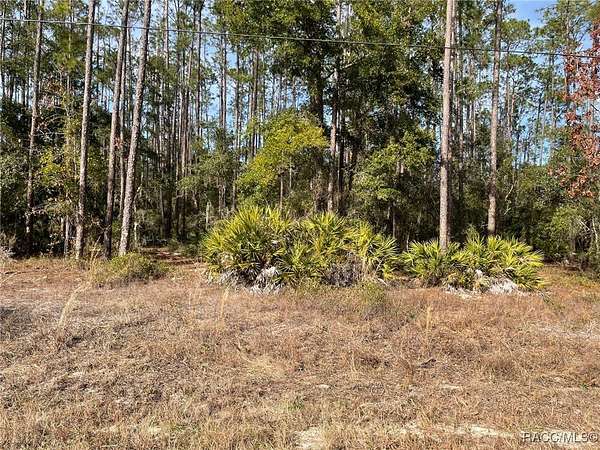 0.24 Acres of Residential Land for Sale in Dunnellon, Florida