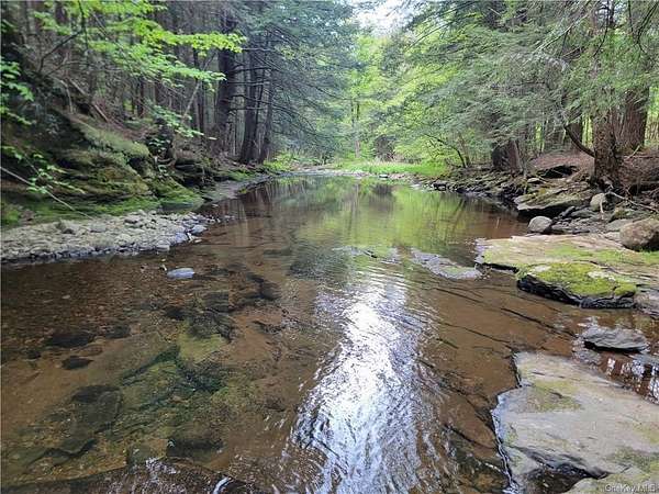 6.7 Acres of Residential Land for Sale in Parksville, New York