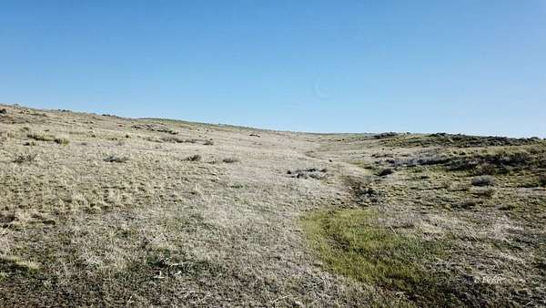 40 Acres of Land for Sale in Deeth, Nevada