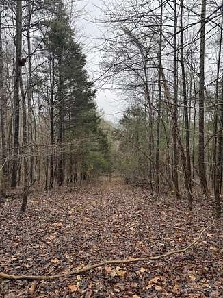 5.3 Acres of Residential Land for Sale in Georgetown, Tennessee