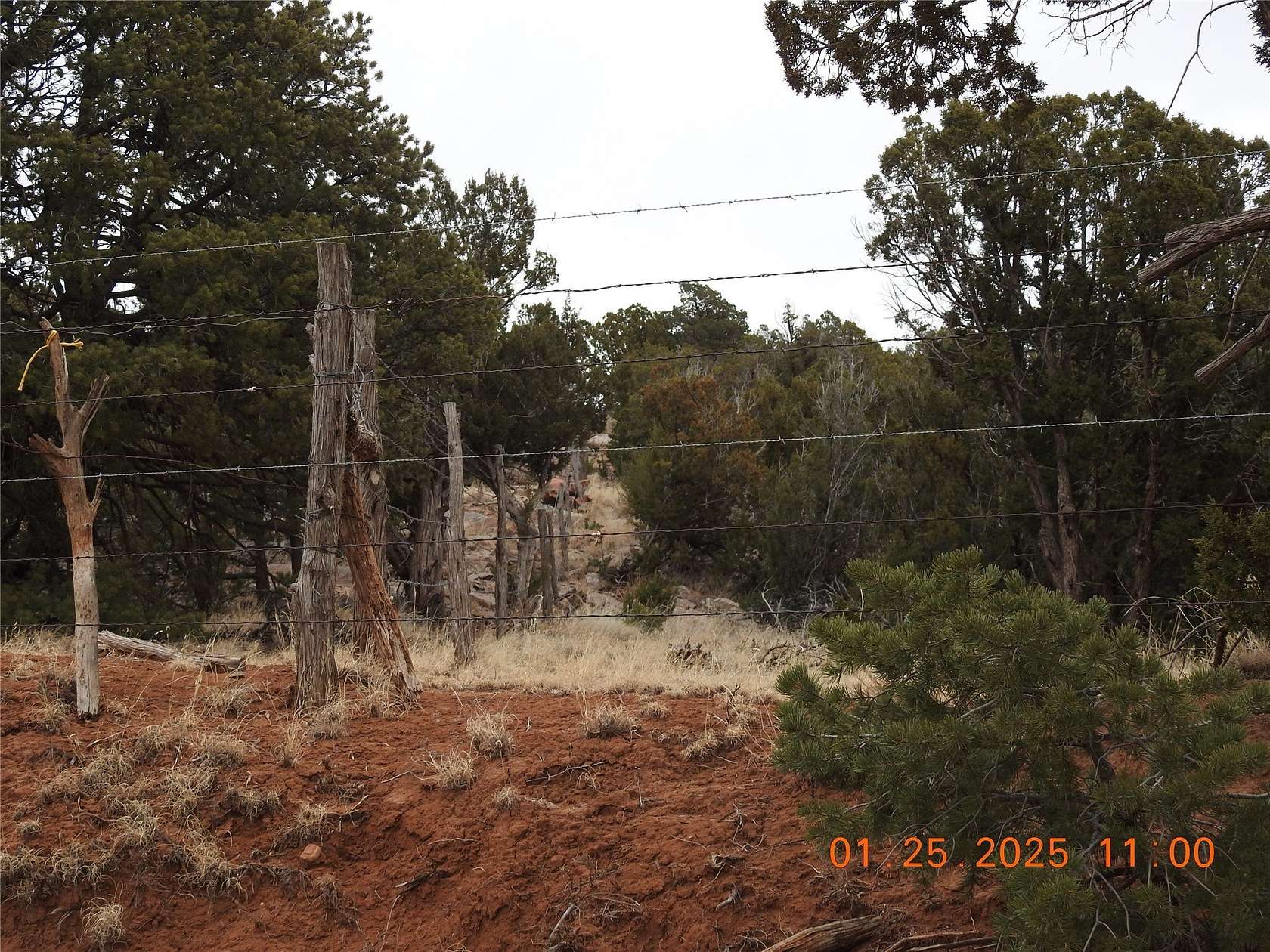 35.8 Acres of Recreational Land for Sale in Villanueva, New Mexico