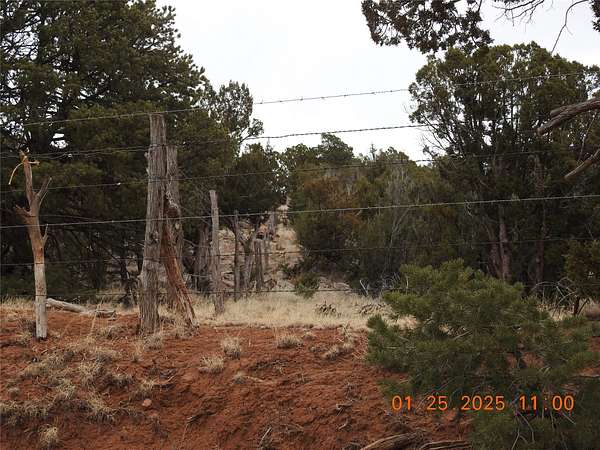 35.8 Acres of Recreational Land for Sale in Villanueva, New Mexico