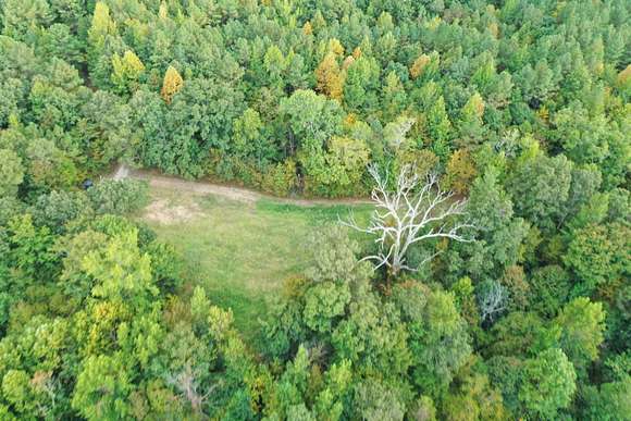 215 Acres of Recreational Land & Farm for Sale in Toone, Tennessee