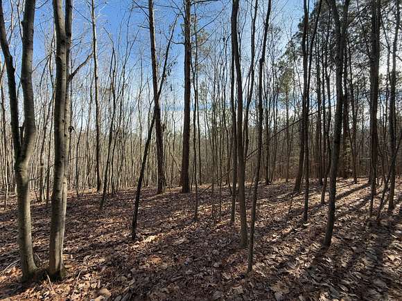 78 Acres of Recreational Land for Sale in Steele, Alabama