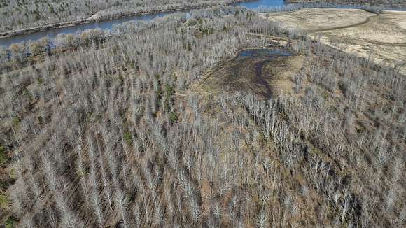 101 Acres of Recreational Land & Farm for Sale in Jonesville, Louisiana