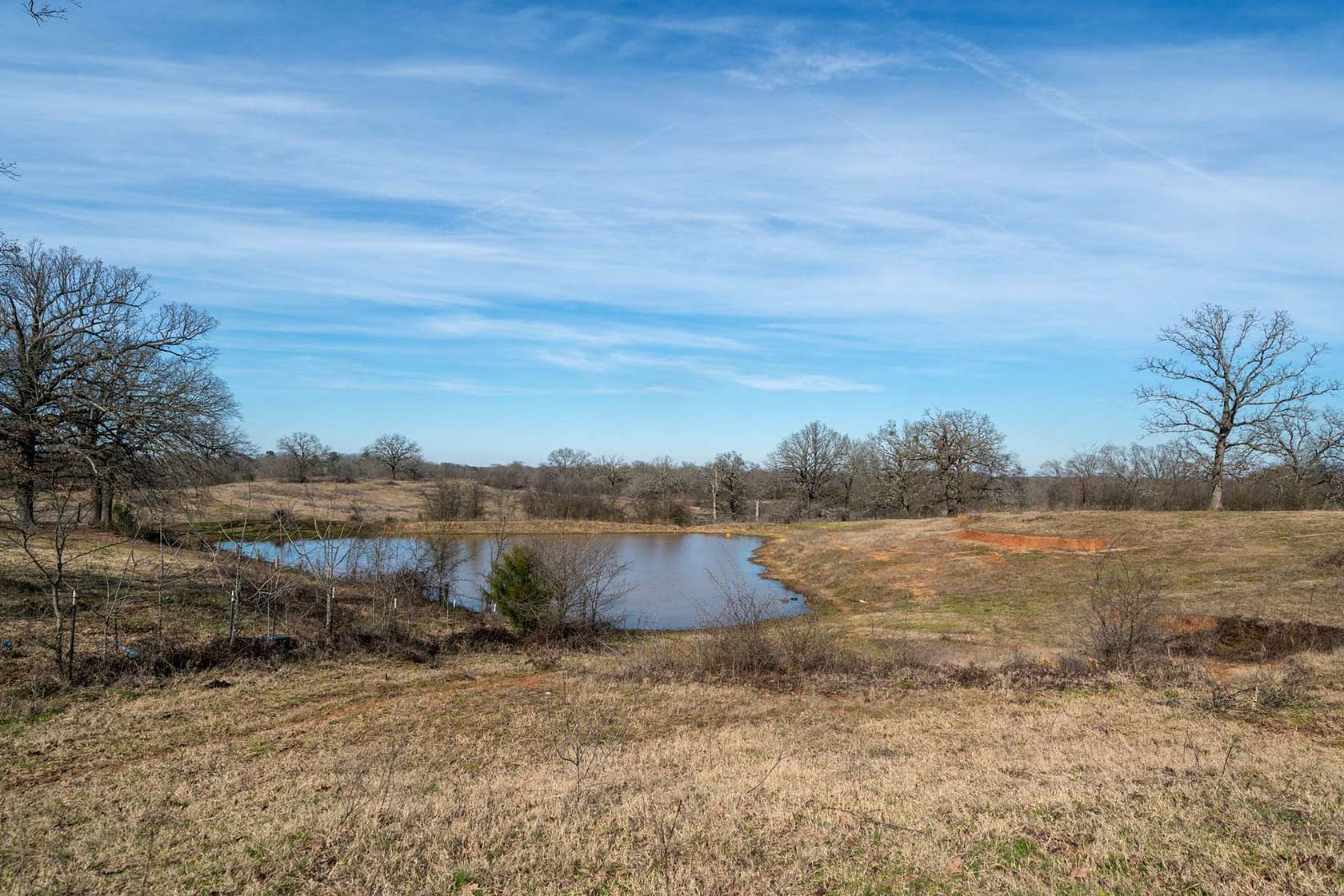 98.7 Acres of Agricultural Land for Sale in Omaha, Texas