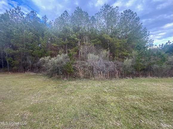 2 Acres of Land for Sale in Wesson, Mississippi