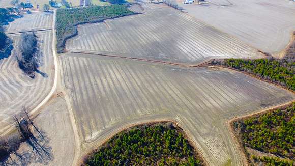 63 Acres of Agricultural Land for Sale in Macclesfield, North Carolina