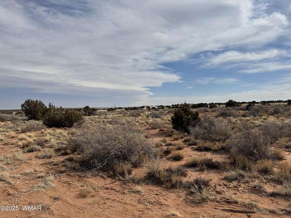 10.37 Acres of Land for Sale in Snowflake, Arizona