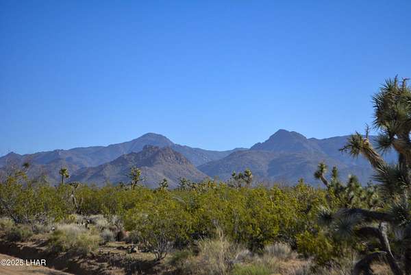 40 Acres of Recreational Land for Sale in Yucca, Arizona