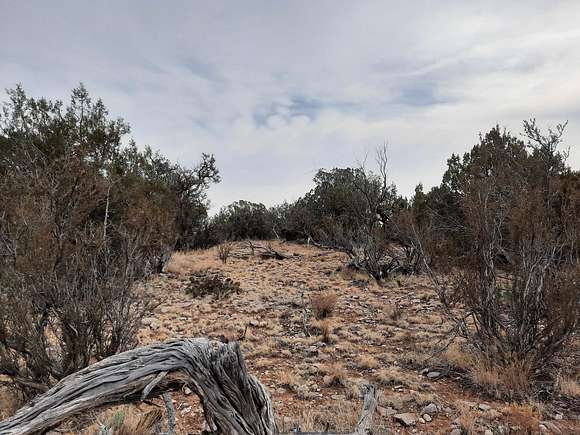 37.2 Acres of Recreational Land & Farm for Sale in Seligman, Arizona