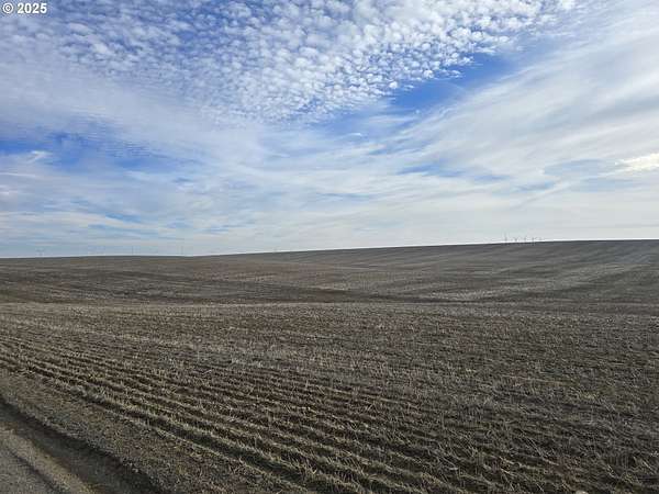 697 Acres of Land for Sale in Wasco, Oregon